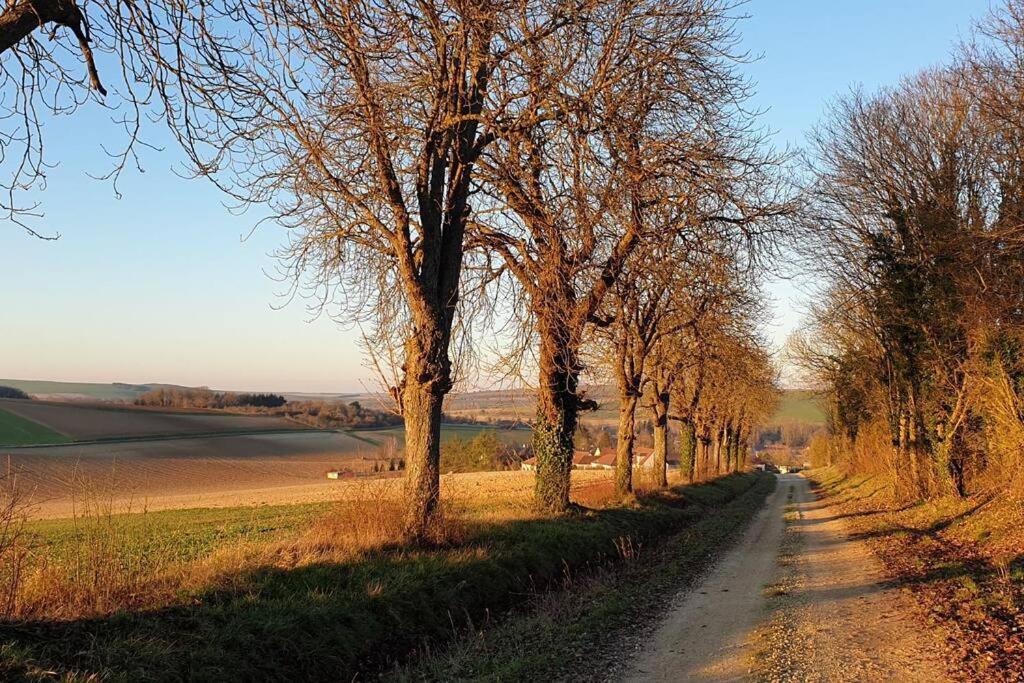 הוילה Estissac Le Bellevue A 1 H 30 De Paris Et 20 Km De Troyes מראה חיצוני תמונה
